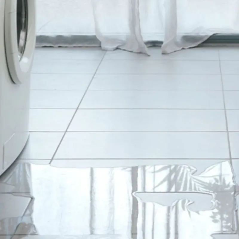 Appliance Leak Cleanup in Saint James, MD