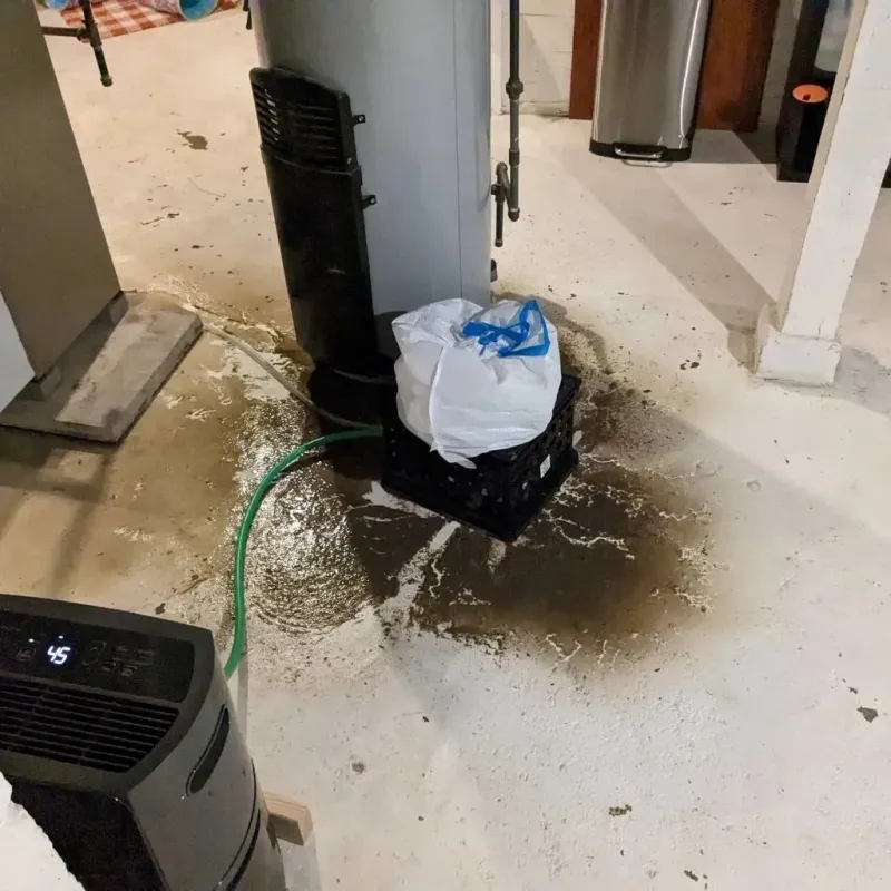 Sewage Backup Cleanup Service in Saint James, MD